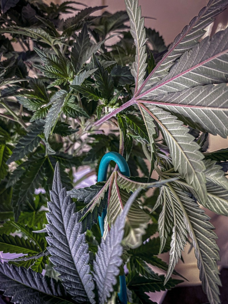 1907E05A-3554-4156-8351-89BA654C30AF