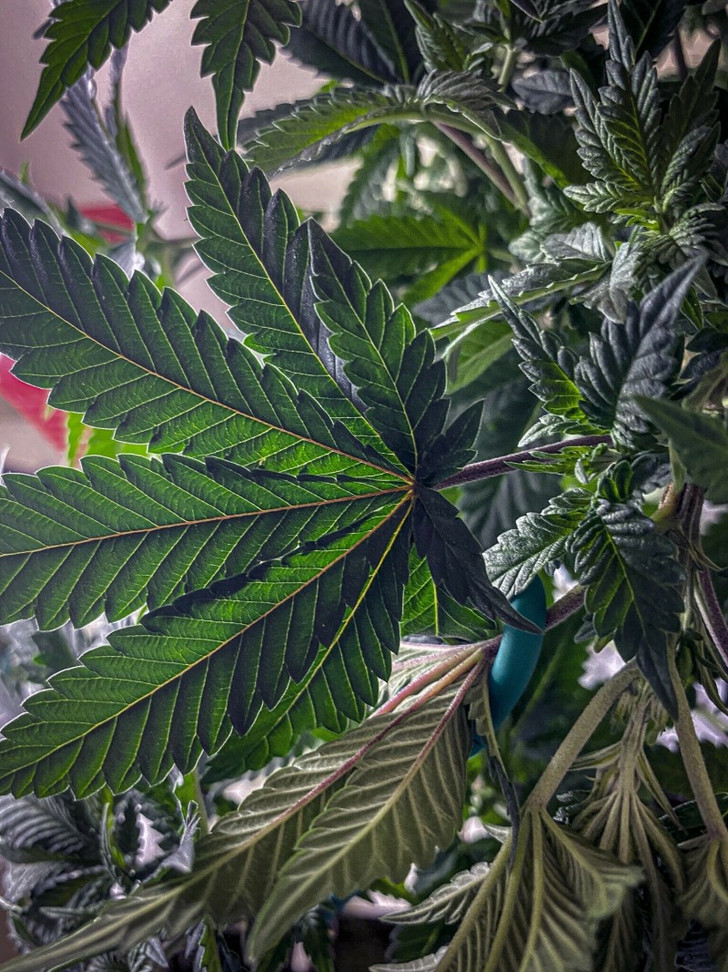 BF8A0CA3-88DB-4216-A33C-C12FBBB54989