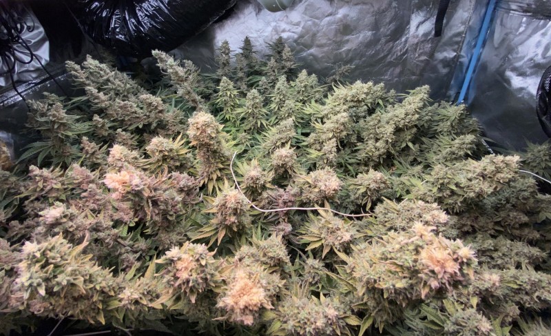 ABFEFB61-3235-4FF2-BAA0-D4C83DFAEA43