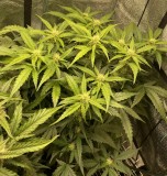 8B7F80EB-10BA-4AB7-9E6E-73A50527F837