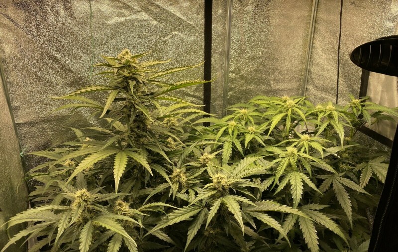 A6413E07-E29C-4964-A4A0-D76CDD794DB6