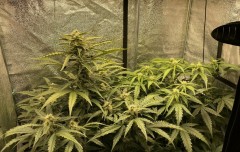 A6413E07-E29C-4964-A4A0-D76CDD794DB6