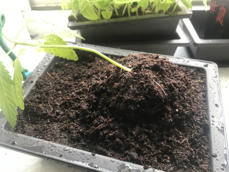 3F619285-EB0B-4932-8384-E6DC2D29D555