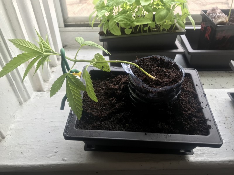 26A09B49-FB8C-4EBD-9314-6387BD7C812D