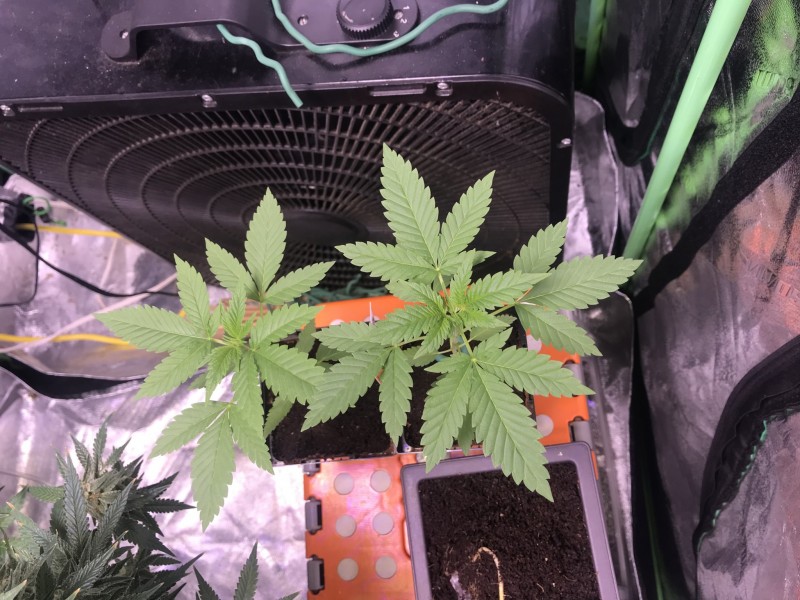 829A021F-C75C-4577-AD10-A28D32DC3103