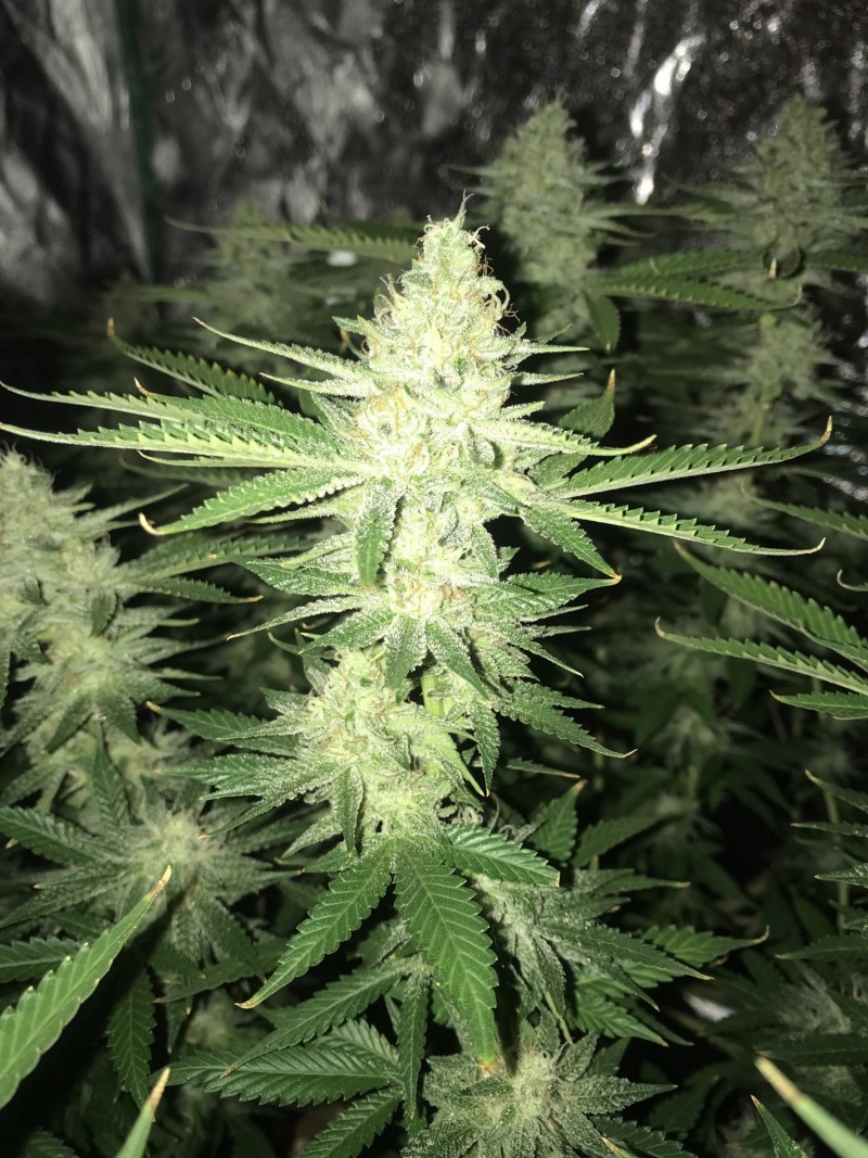 30ABD592-1100-42A2-9442-850847244A80