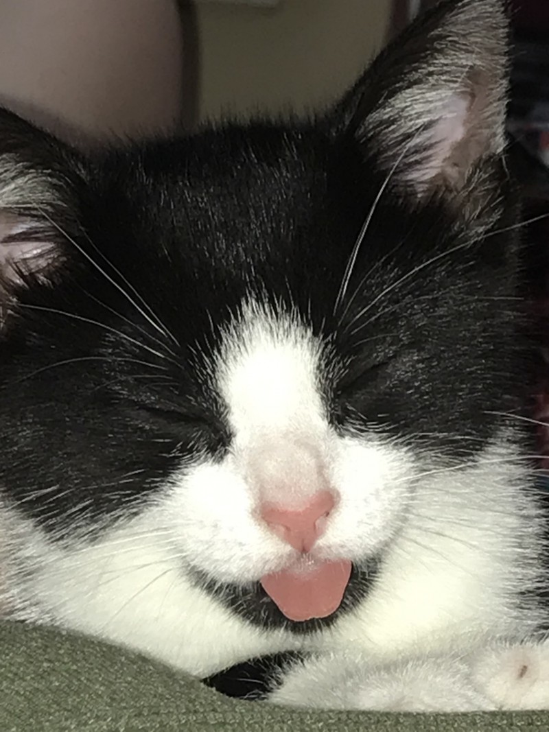 B1545B3C-ADDC-42AF-A821-F475C01751A1