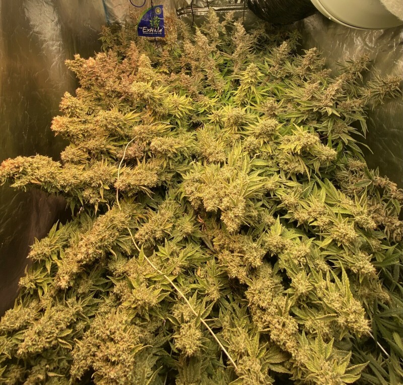 C5EAA2AD-B210-41FF-896D-5E3FF9565882