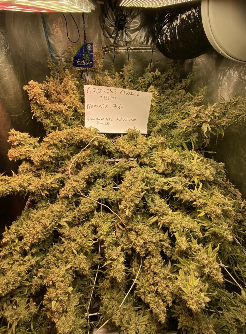 B138D52C-CE75-4DB7-93F1-7660608BBE15