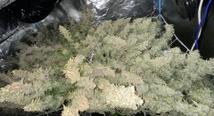 25FCF758-53EE-4AFD-886B-F57F8CF5F6E1