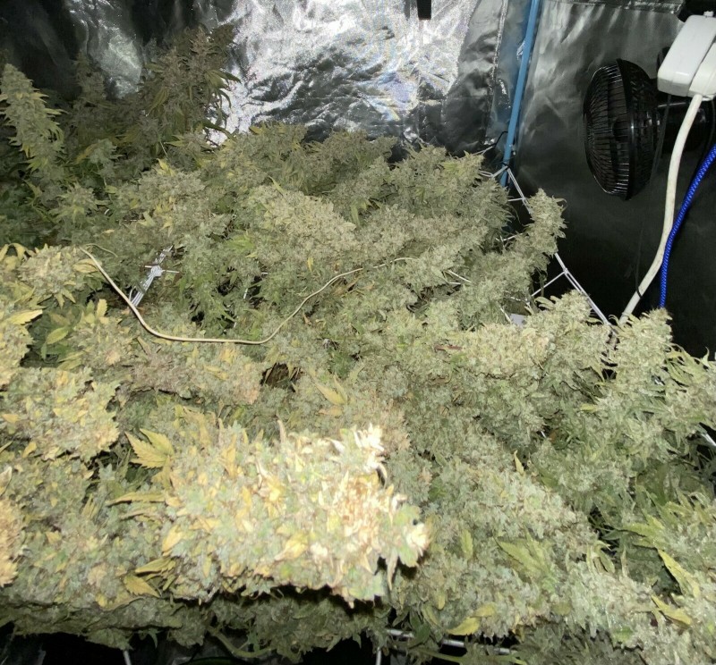 73AAA789-BC0F-4288-B45D-3A4FDB501E19