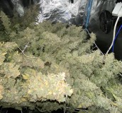 73AAA789-BC0F-4288-B45D-3A4FDB501E19