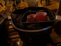 16286387836005571745576464945730