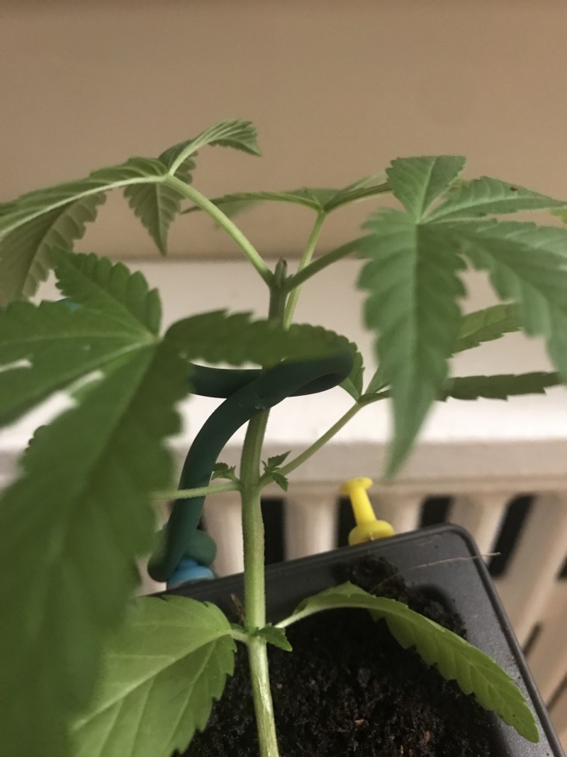 14471078-8AC6-4F01-A609-ADA52C4AA6F1