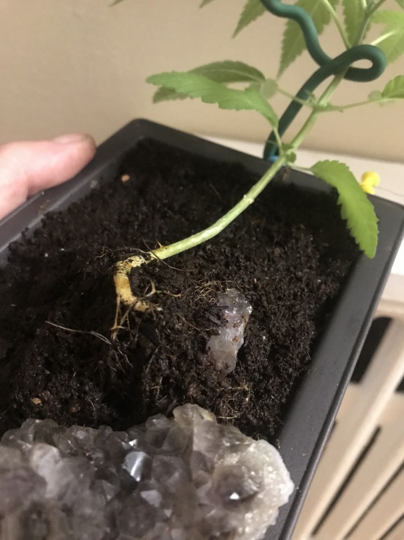 AF8FB588-09DC-4F2E-B29C-8780279EDEB6