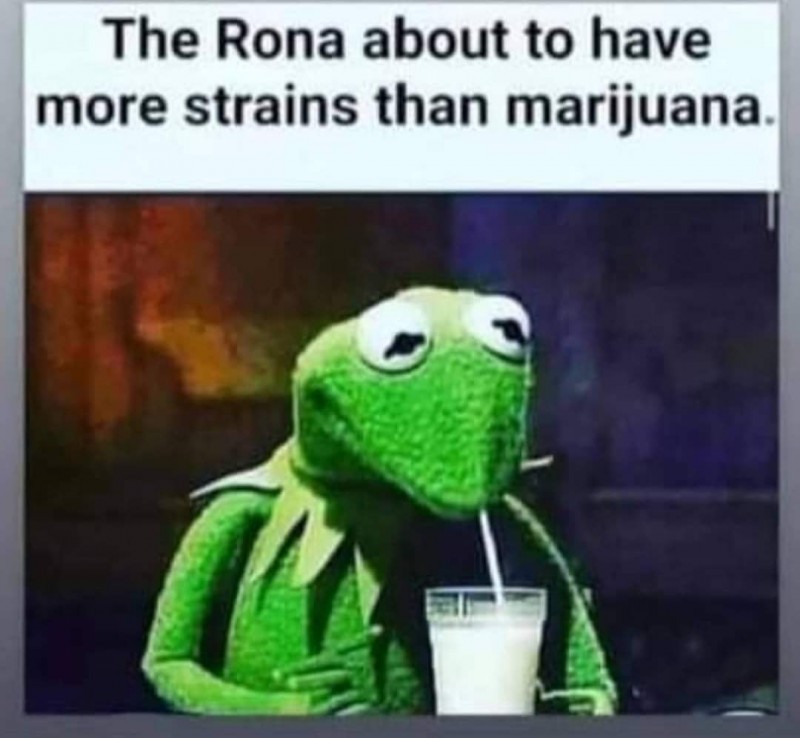 FB_IMG_1628808712857