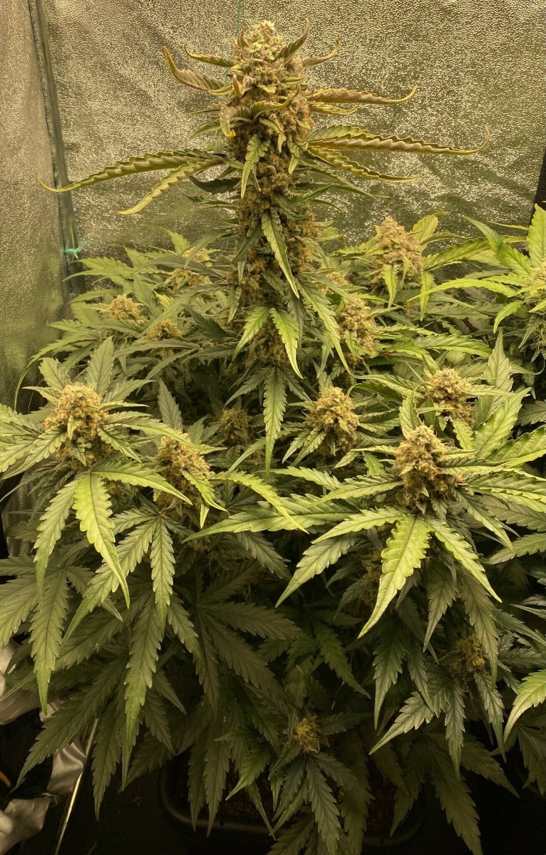 7EEF7801-96AE-4D62-B884-B3BBB5AA7992