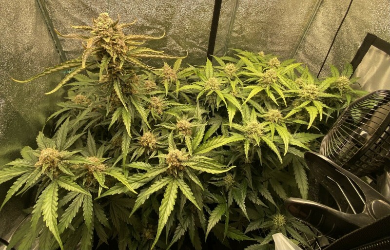 AB4AEF47-E946-4038-A090-6B92B5E62C6F