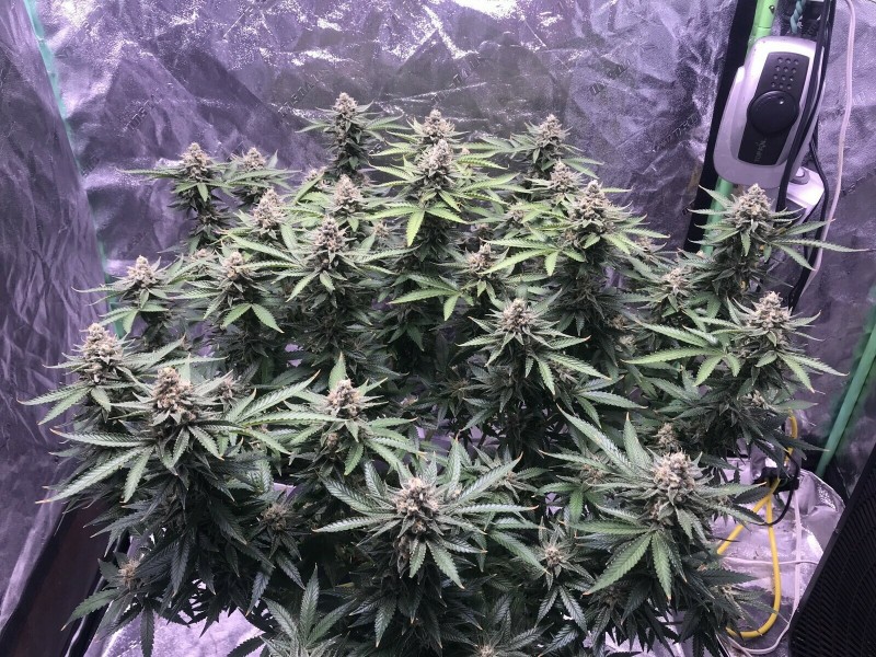 6E58AB5A-EADF-49DD-A28A-7879B1BD1076