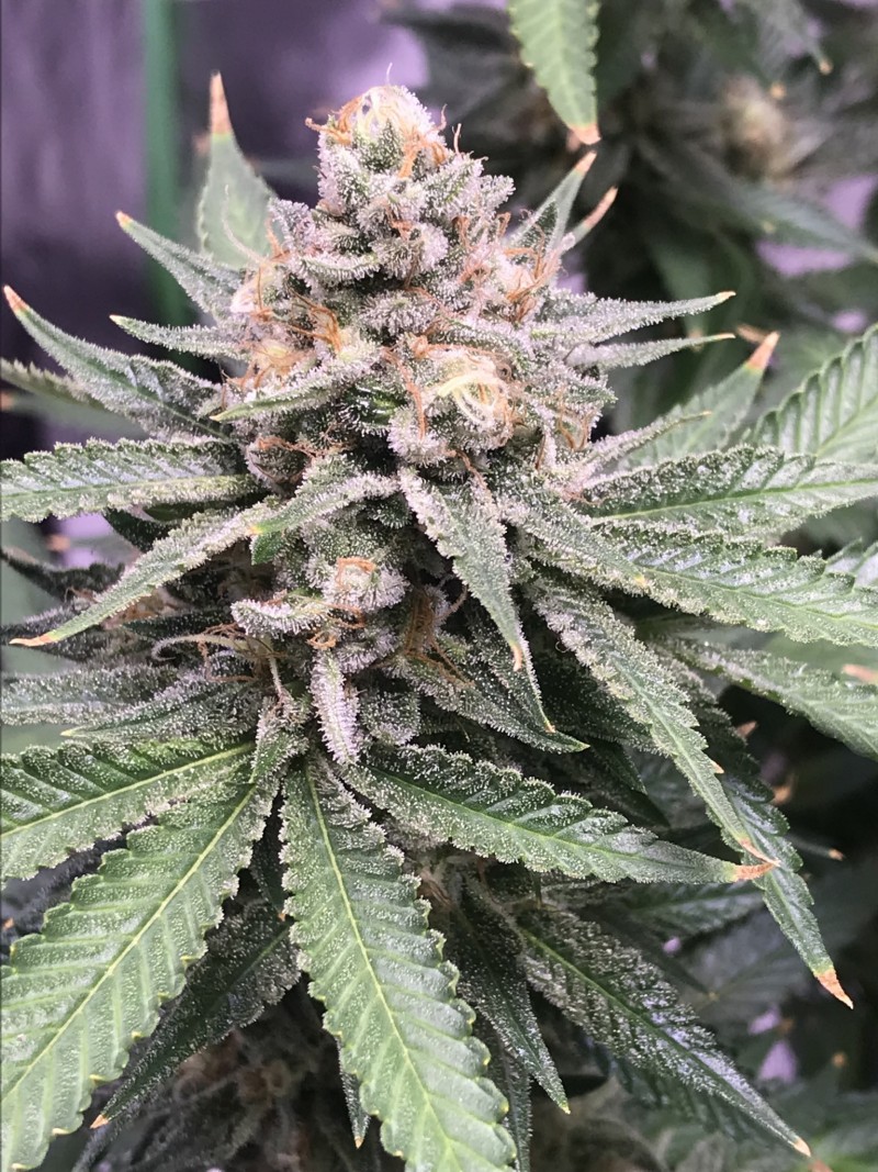 9232DBE3-DDC8-46E3-AFD8-78DF0325034D