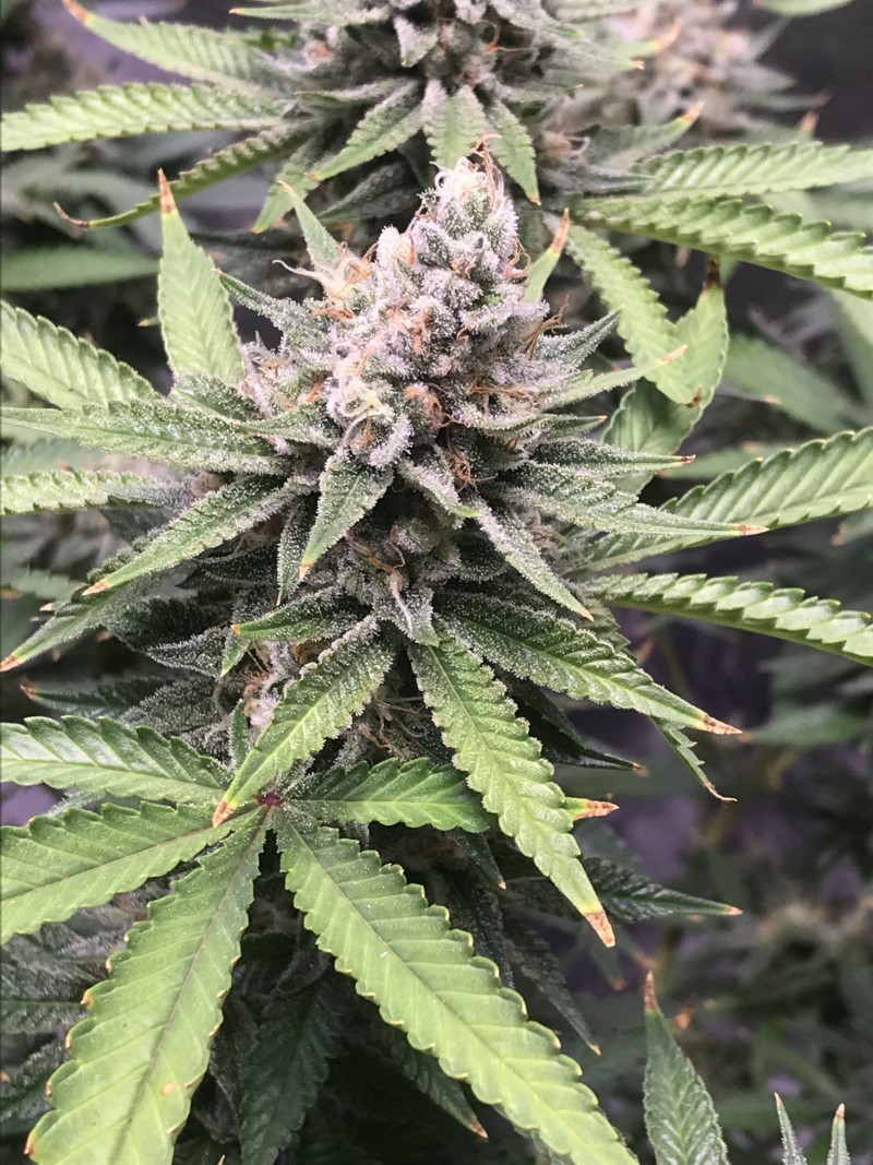 BE4325EB-3E1F-4F9C-BE57-7D5B0AD0FCF9