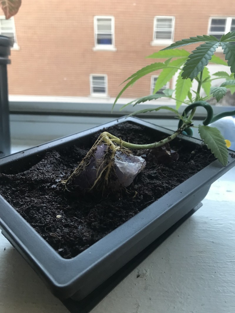 F662B7F1-783C-4208-989A-C298E7644F6C