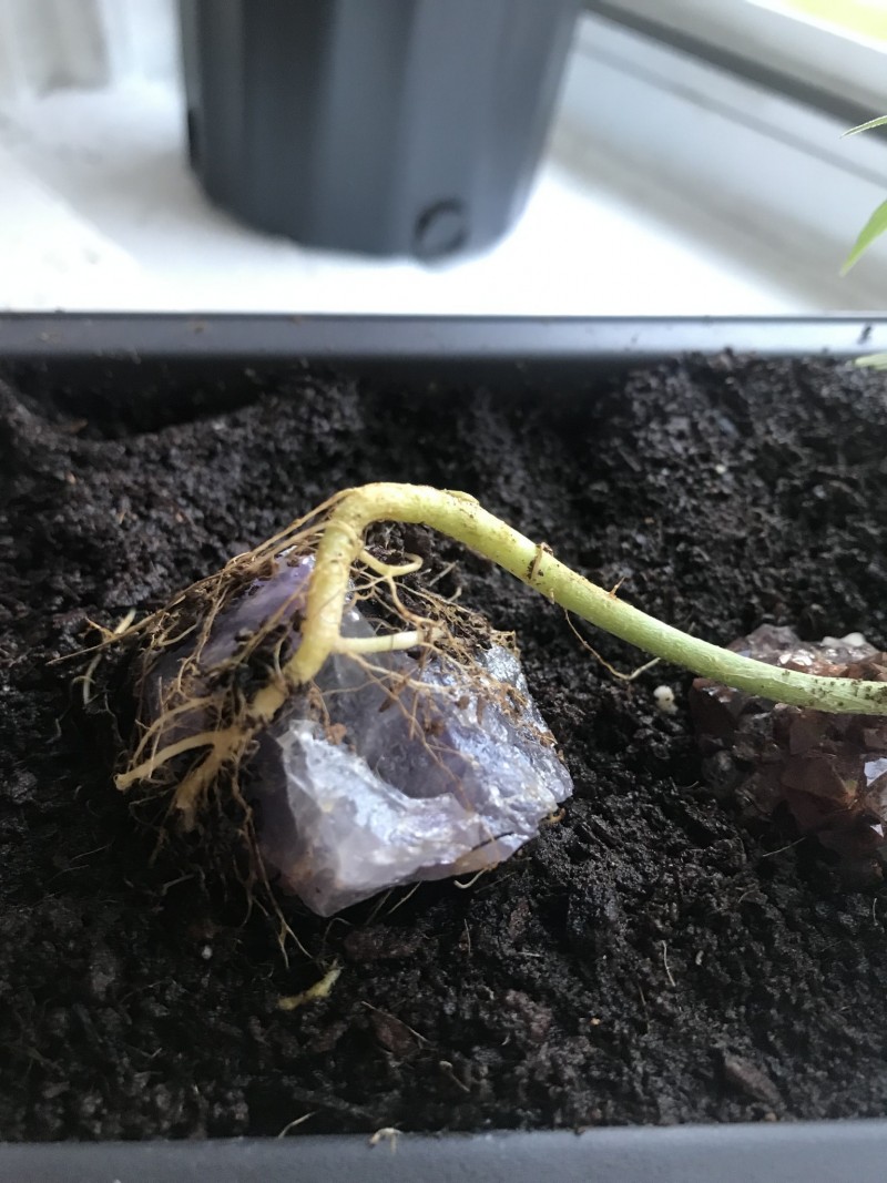 F7ACC611-A007-443E-ABB4-EB63329C6505