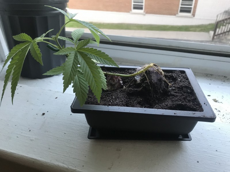 312A3DC1-DF3A-41FC-BB0F-750B51F14908