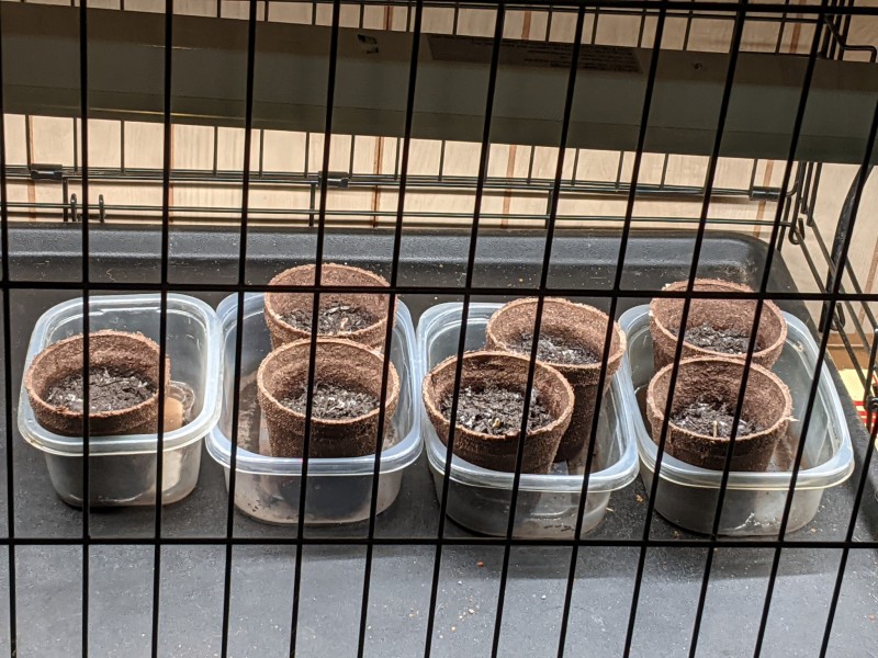 PXL_20210411_191730831