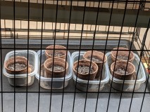 PXL_20210411_191730831