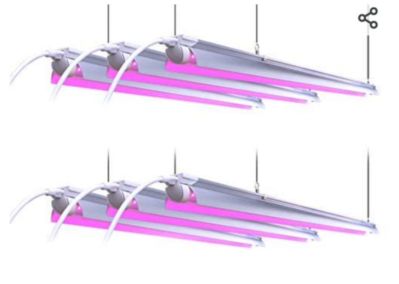 Screenshot_20210817-120659