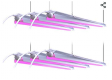 Screenshot_20210817-120659