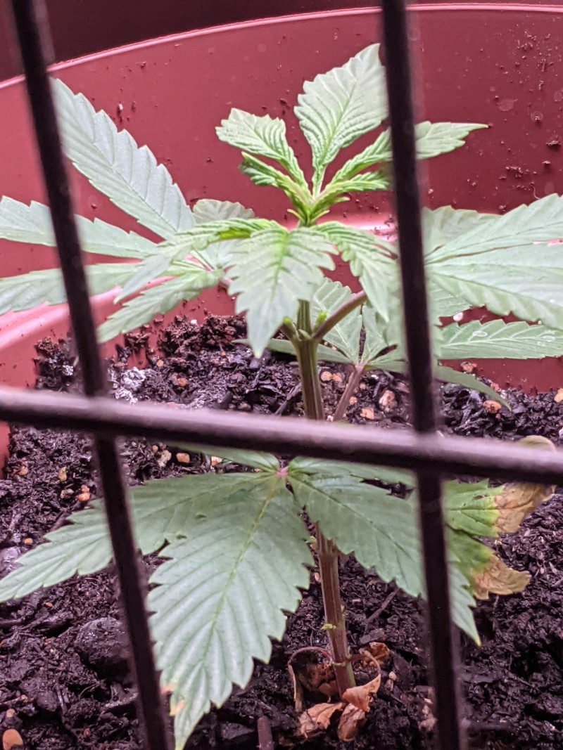 PXL_20210528_225038108