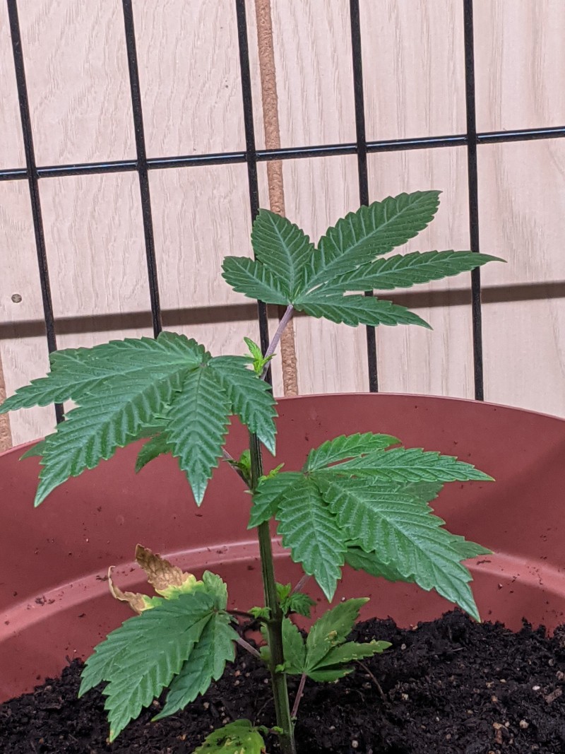 PXL_20210528_225005376