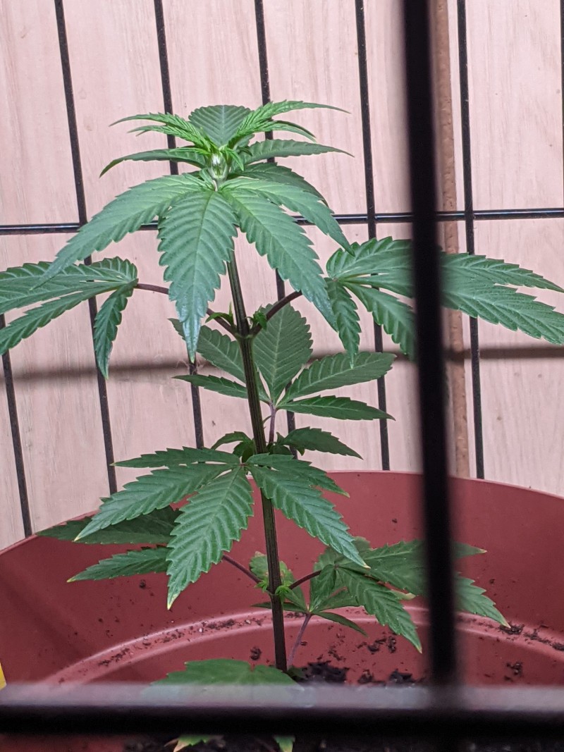 PXL_20210528_224959090