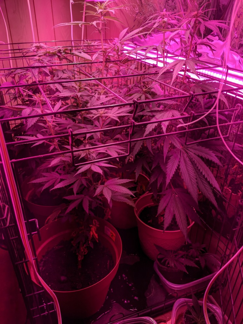 PXL_20210704_194206633