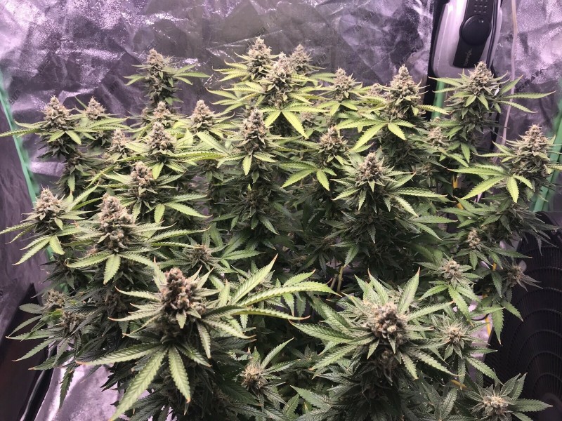 E75A38DF-8E51-4016-B03F-2C1BCC2C4A6C