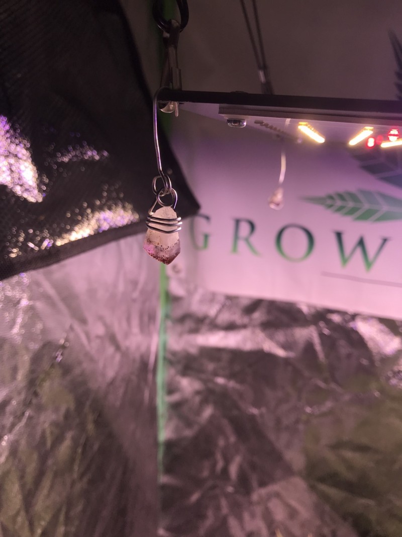 2A9EA6D7-810A-4052-BD0F-0D4315FD03FD