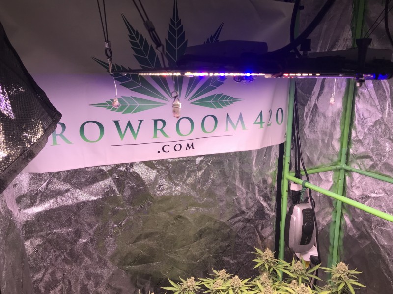 2F161D58-5425-4C7A-BA6E-2B5AB47C8892