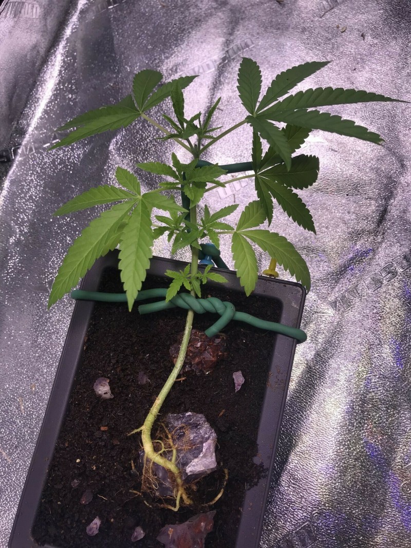 95FD41C8-98F8-4A5F-BC97-21C7B97F29BC