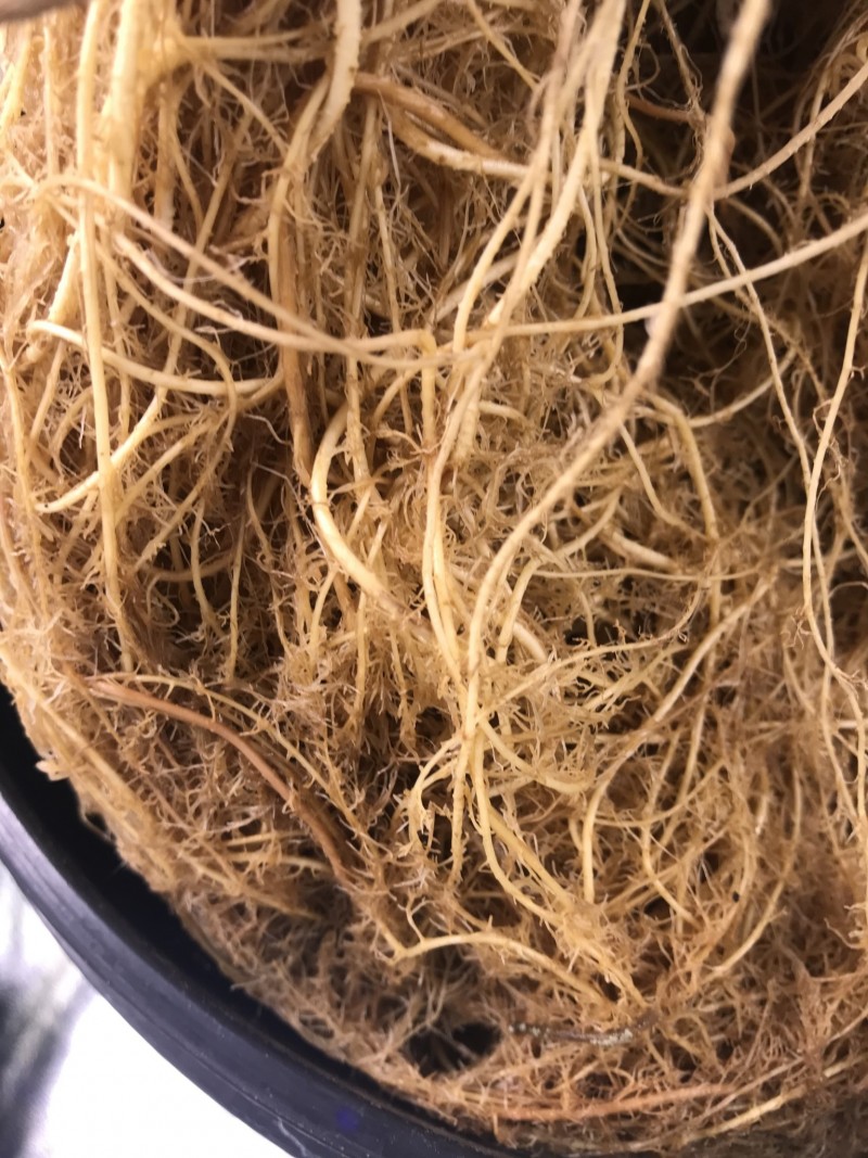 8FB2FF7A-8CC1-46A0-B4CD-CF85ED6353BB