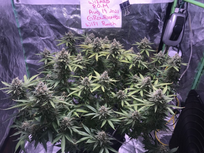 8960A8F1-EB2B-4708-8065-3052182971FD