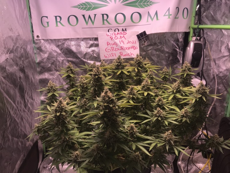 A53ACB7D-5621-4EB7-B954-A1AF761B03C7