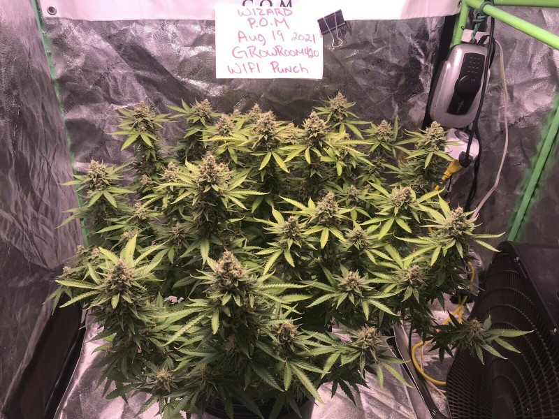 014FDFD9-B863-4E4D-B4EA-ABE4FB4D56CB