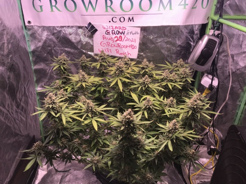 66308542-F170-46E4-9860-5D63A75050B0