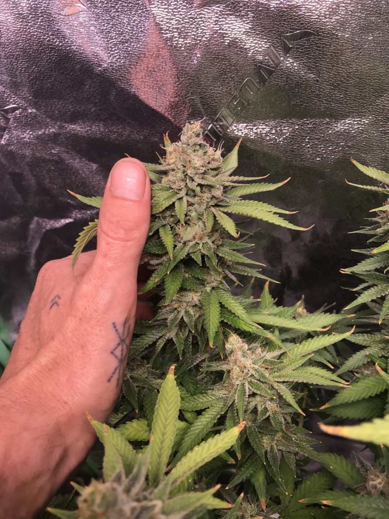 043DBFE9-D9DD-4787-9C35-08309B499E26