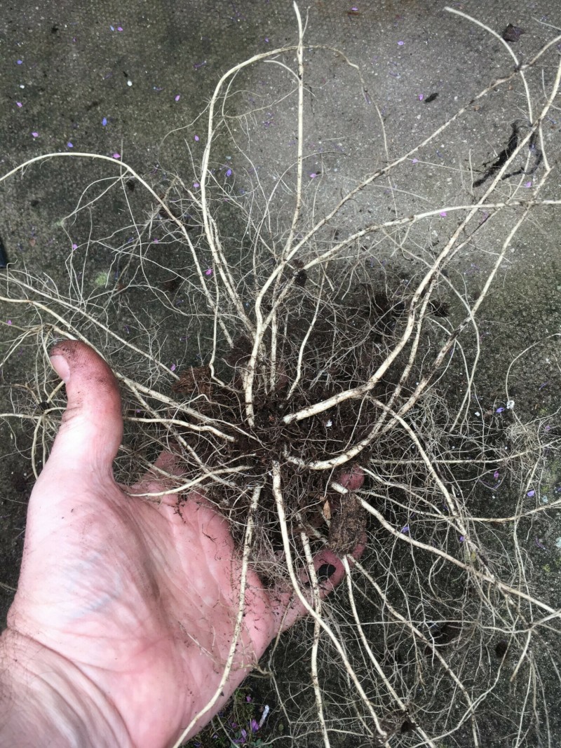 F2ED5141-83CA-4AC9-AF9C-1D09B94A5803