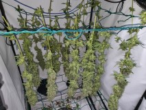 16297476427505093870042189222051