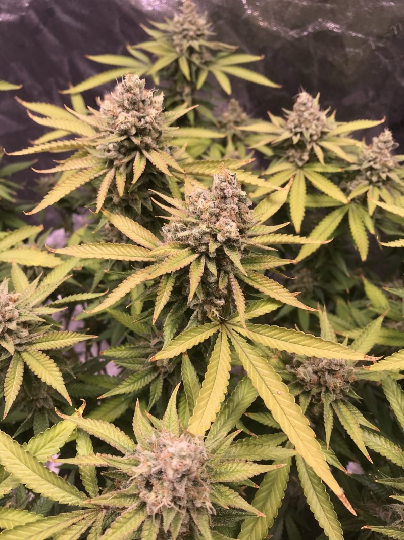 926962B0-67C3-495A-8C25-9FE41C98A66B