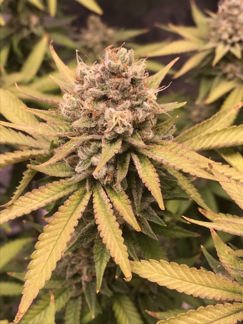 EC8D2369-D91A-465E-80FA-05110D9627BF